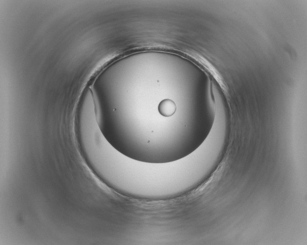 X0000114511285200911161247