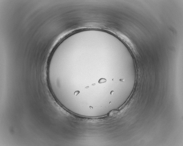 X0000114511288200911161247