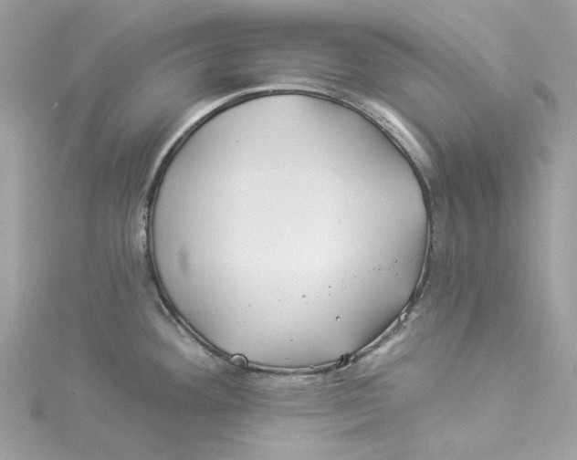 X0000114511292200911161247