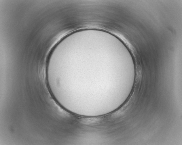 X0000114511294200911161247