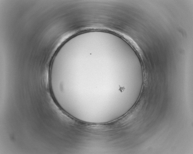 X0000114511295200911161247