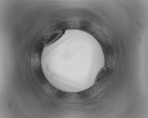 X0000114511298200911161246