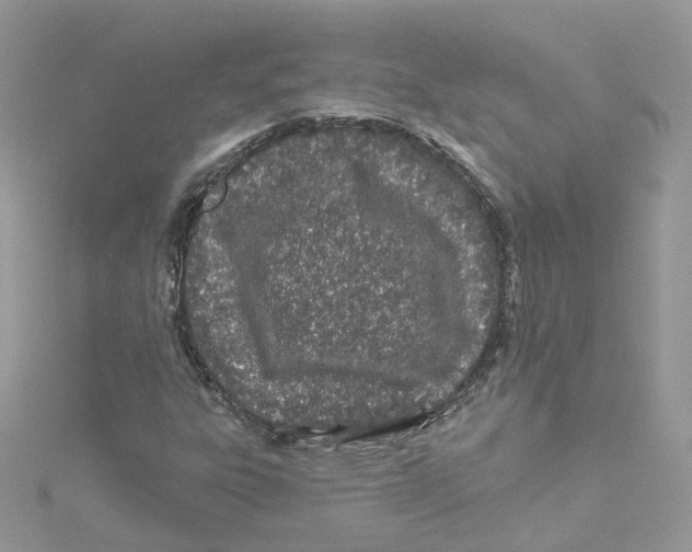 X0000114511303200911161246