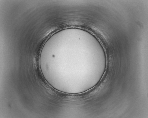 X0000114511305200911161246