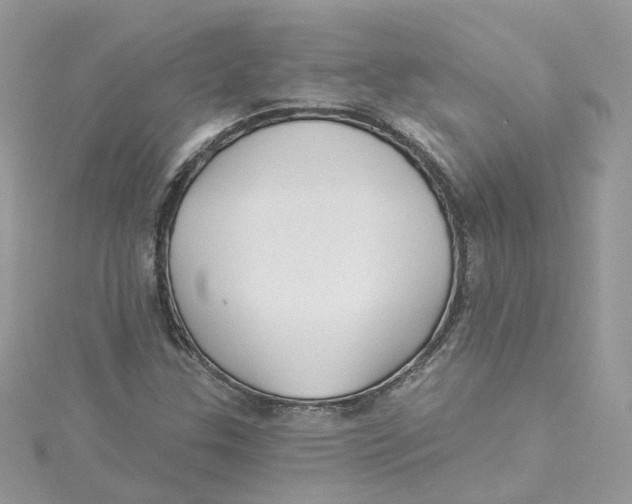 X0000114511307200911161247