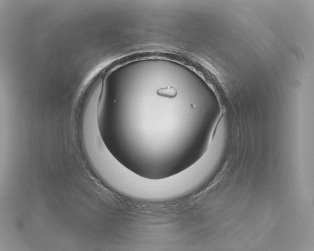 X0000114511310200911161247