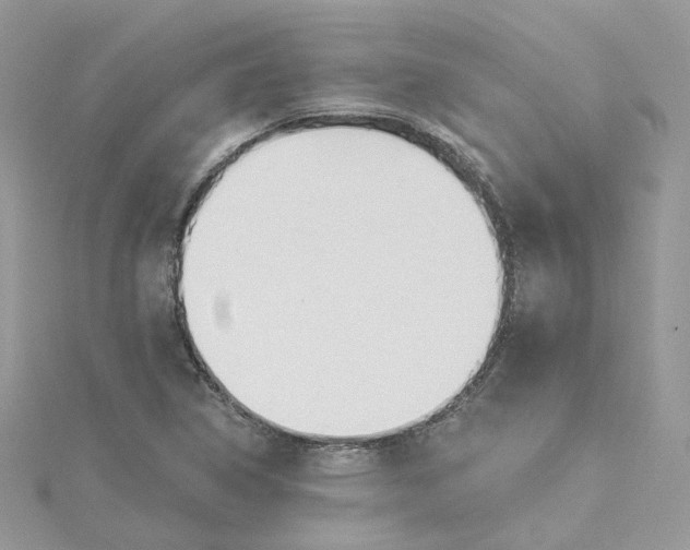 X0000114511314200911161247