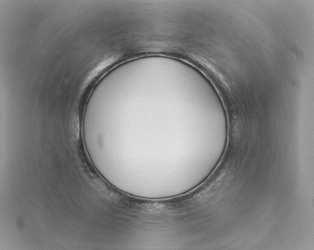 X0000114511317200911161247