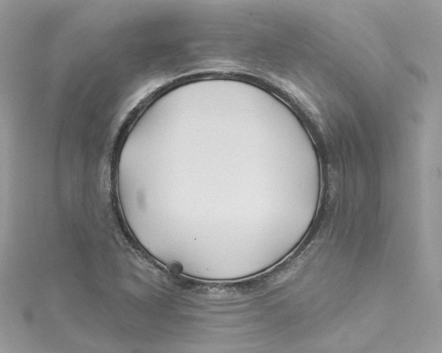 X0000114511318200911161247