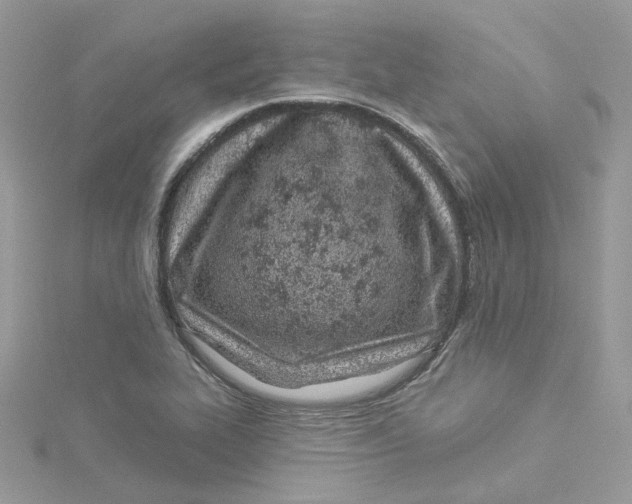 X0000114511319200911161247