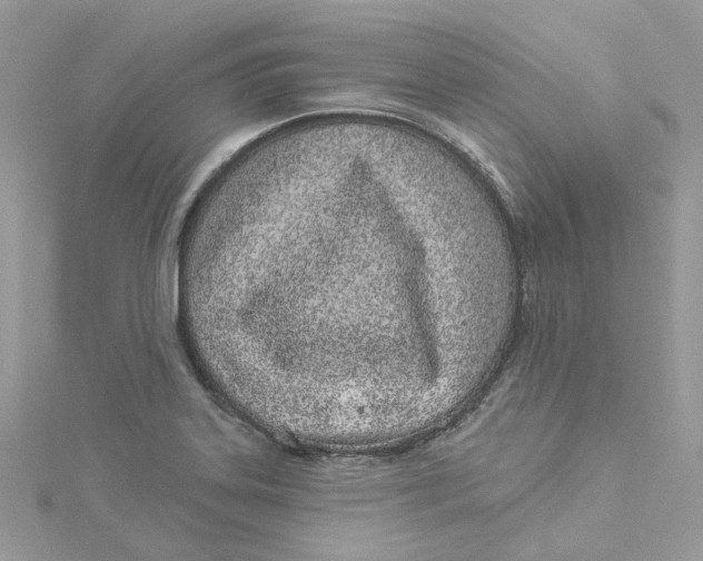 X0000114511323200911161247