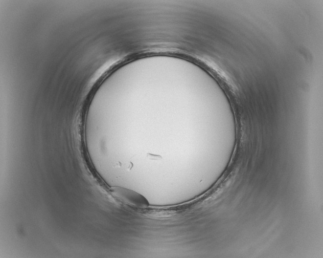 X0000114511325200911161247