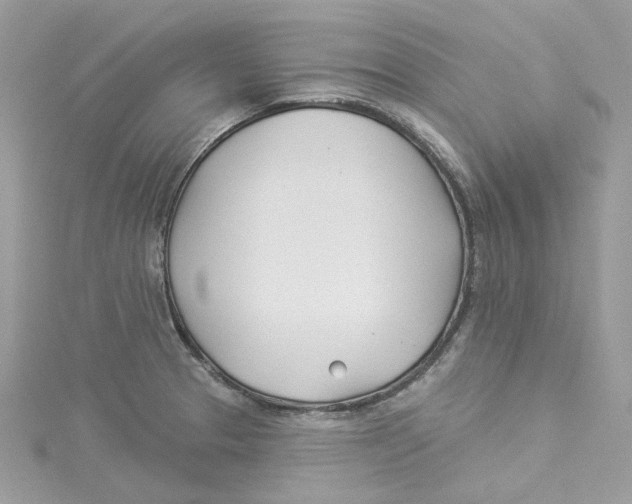 X0000114511329200911161247