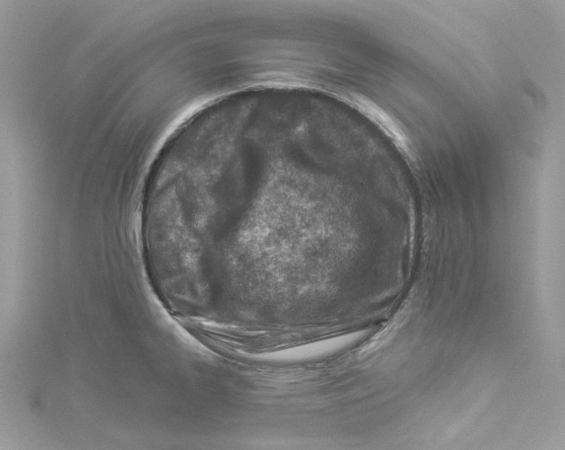 X0000114511334200911161247