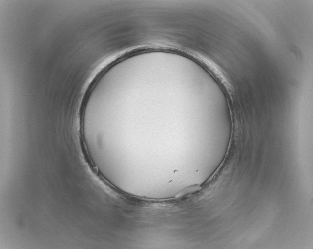 X0000114511335200911161247