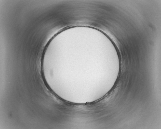 X0000114511341200911161247