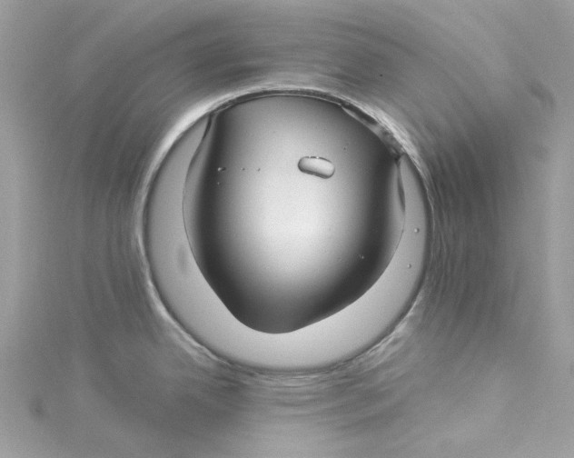 X0000114511342200911161247