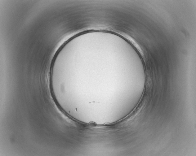 X0000114511343200911161247