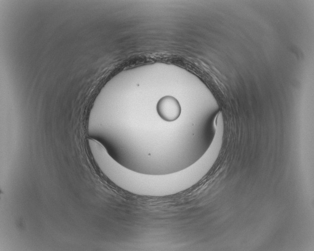 X0000114511345200911161246