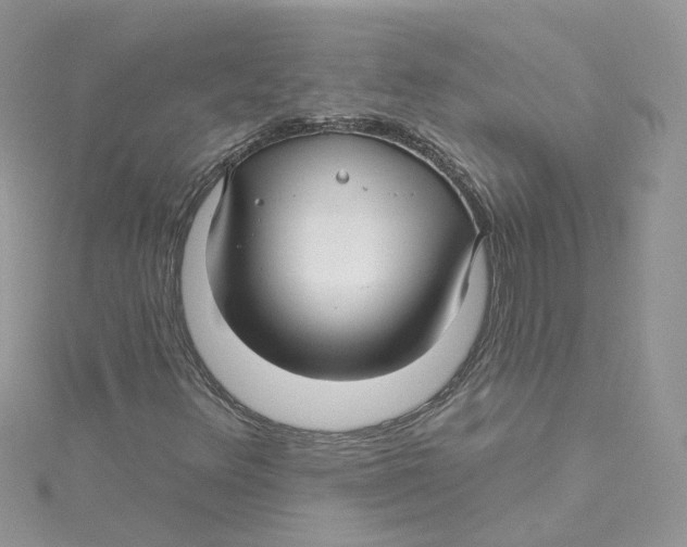 X0000114511348200911161246