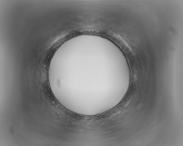 X0000114511350200911161246