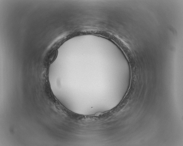 X0000114511351200911161246