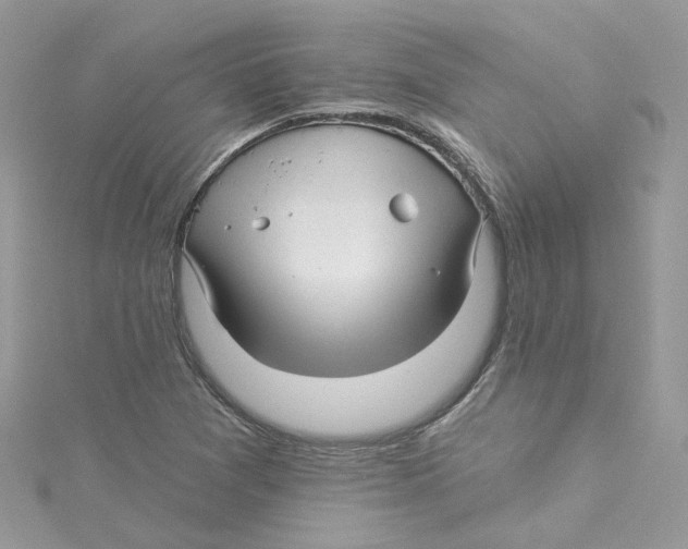 X0000114511361200911161246