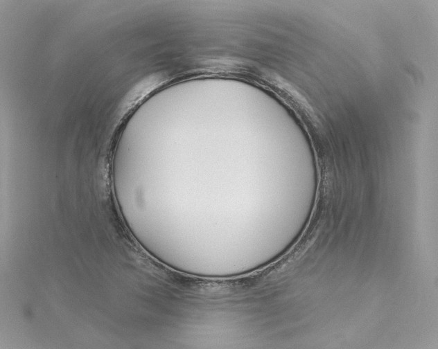 X0000114511362200911161246