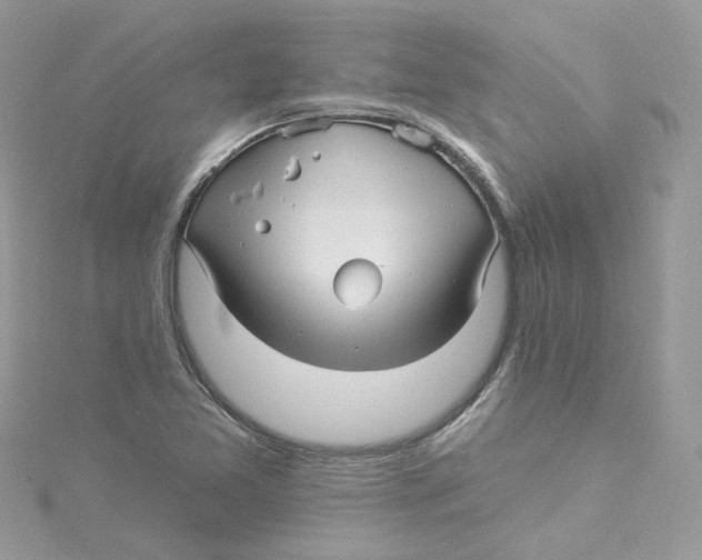 X0000114511365200911161246