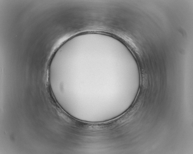 X0000114511366200911161246