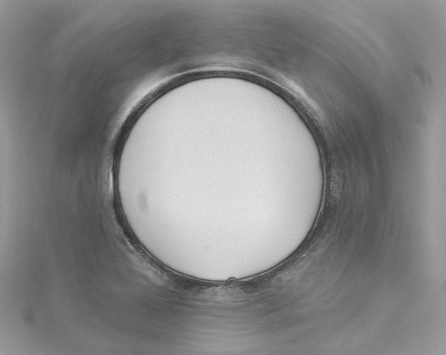 X0000114511368200911161246