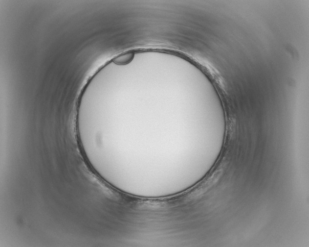 X0000114511374200911161246