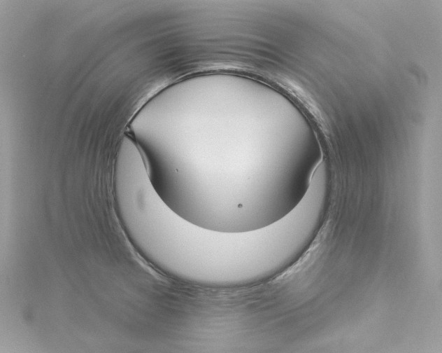 X0000114511377200911161246