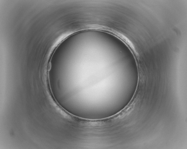 X0000114511381200911161246