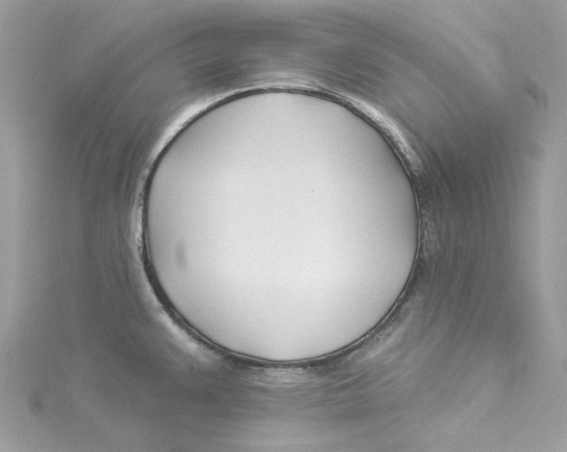 X0000114511383200911161246