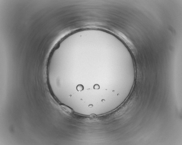 X0000114511384200911161246