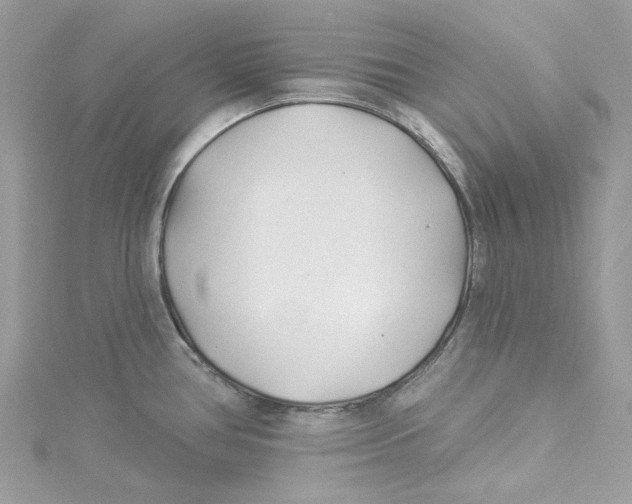 X0000114511386200911161246