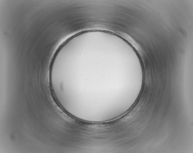 X0000114511388200911161246