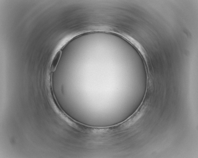 X0000114511389200911161246