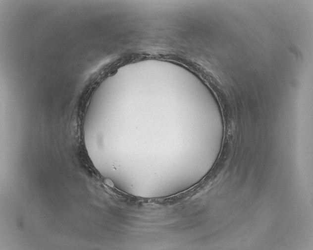 X0000114511398200911161245