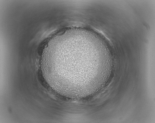 X0000114511399200911161245