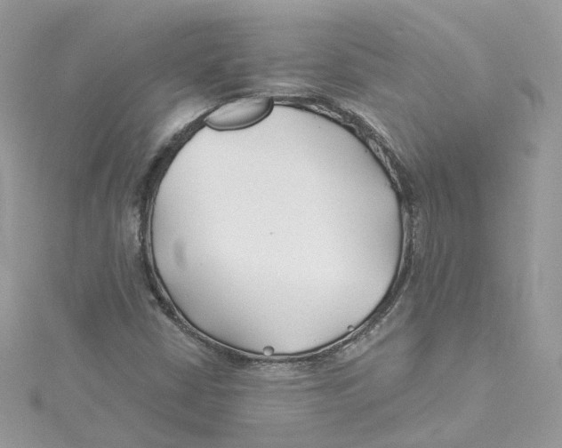 X0000114511402200911161245