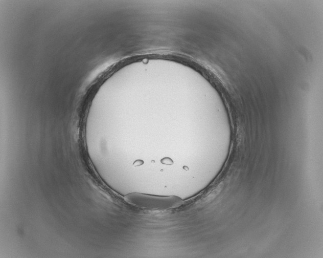 X0000114511406200911161245