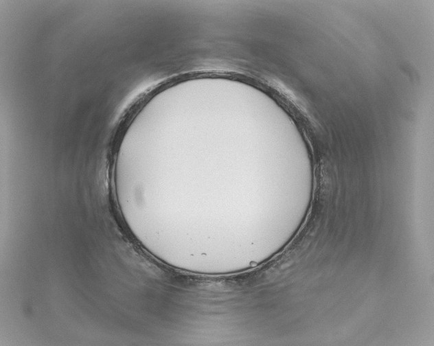 X0000114511408200911161245