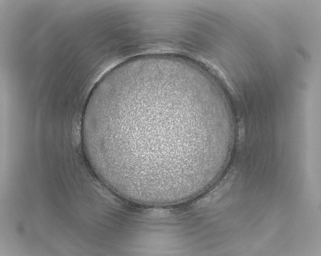 X0000114511409200911161245