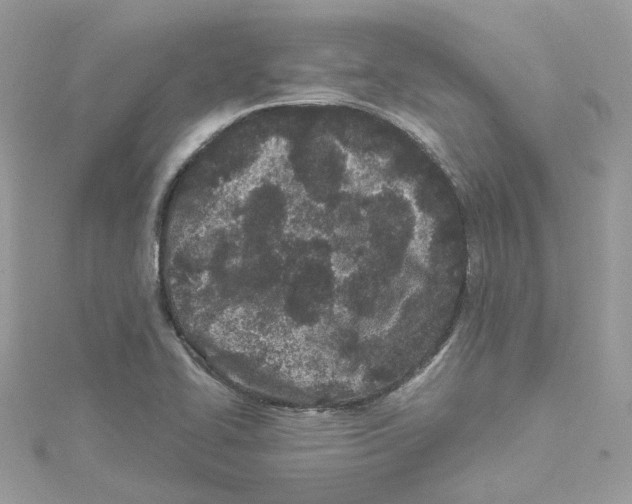 X0000114511414200911161245