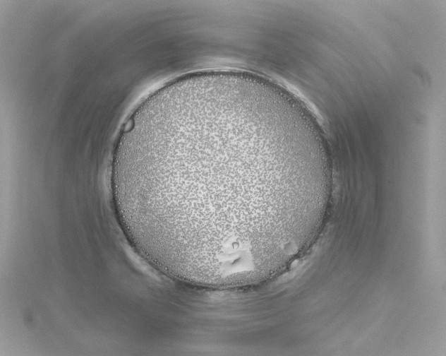 X0000114511421200911161246