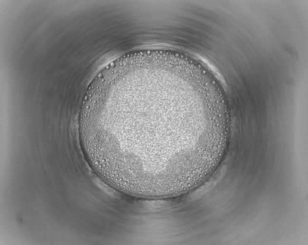 X0000114511425200911161246