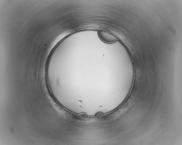 X0000114511426200911161246