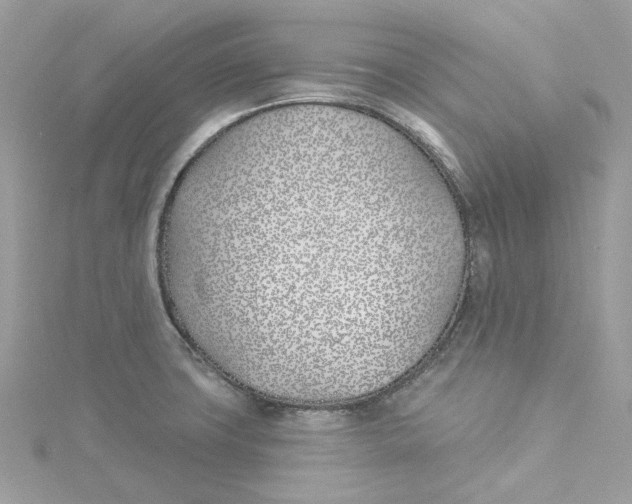 X0000114511427200911161246